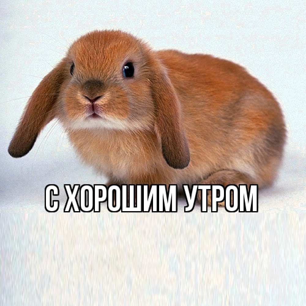 Открытка на каждый день с именем, Толя Удачи тебе вставить текст в открытку по выбору Прикольная открытка с пожеланием онлайн скачать бесплатно 