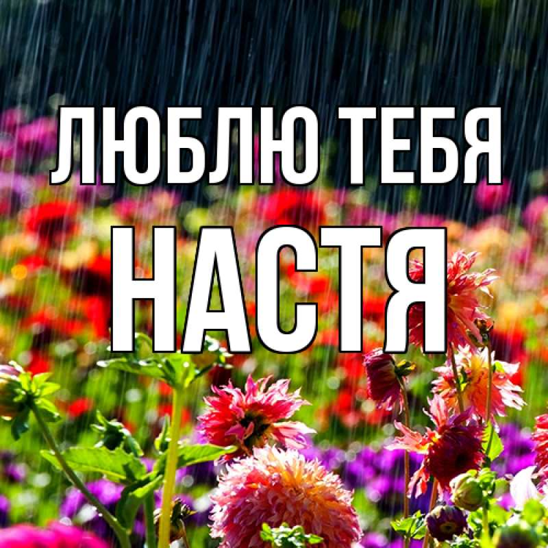 Картинка Люблю тебя, Настя