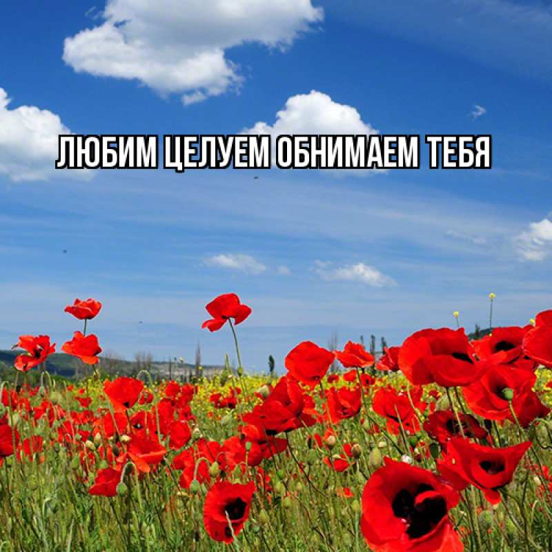 Картинка Люблю тебя, Ненаглядный мой