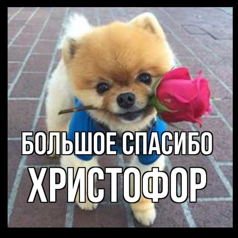 Открытка с именем, Христофор, Большое спасибо