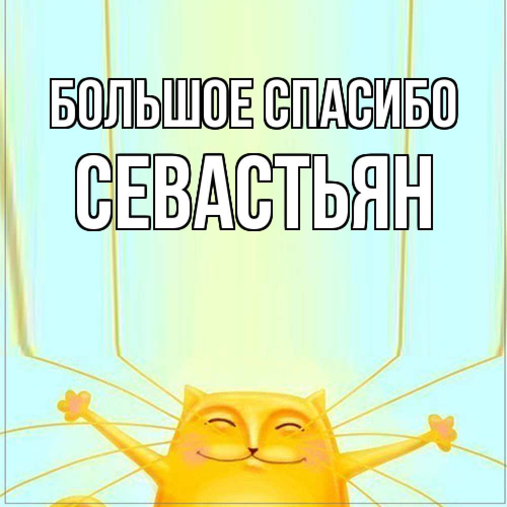 Открытка на каждый день с именем, Севастьян Большое спасибо кот с усами благодарит Прикольная открытка с пожеланием онлайн скачать бесплатно 