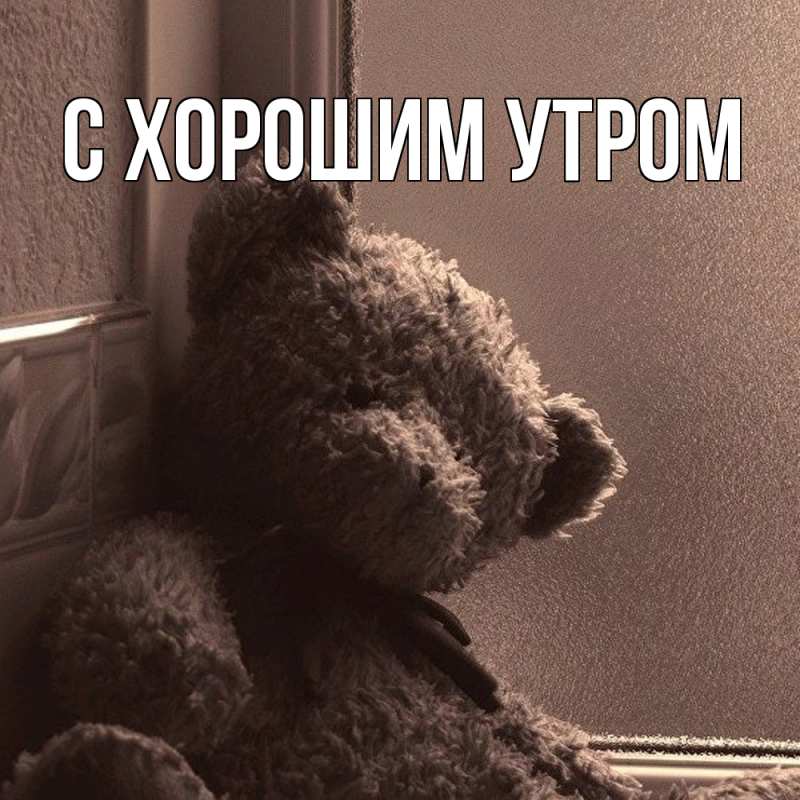 Картинка Скучашки, Дамира