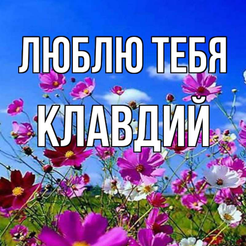 Картинка Люблю тебя, Клавдий