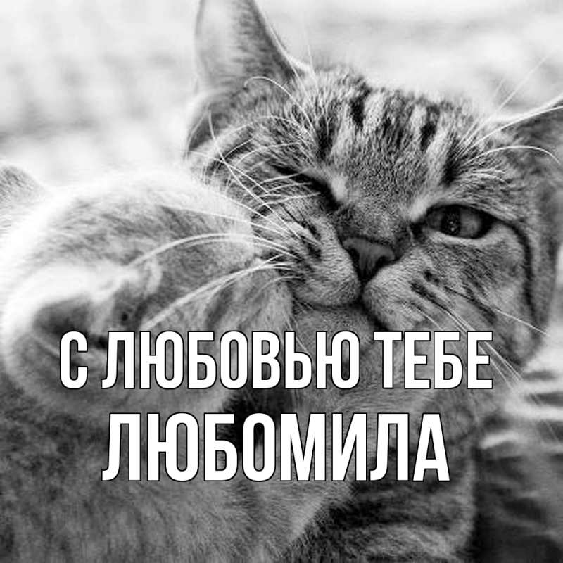 Картинка С любовью тебе, Любомила