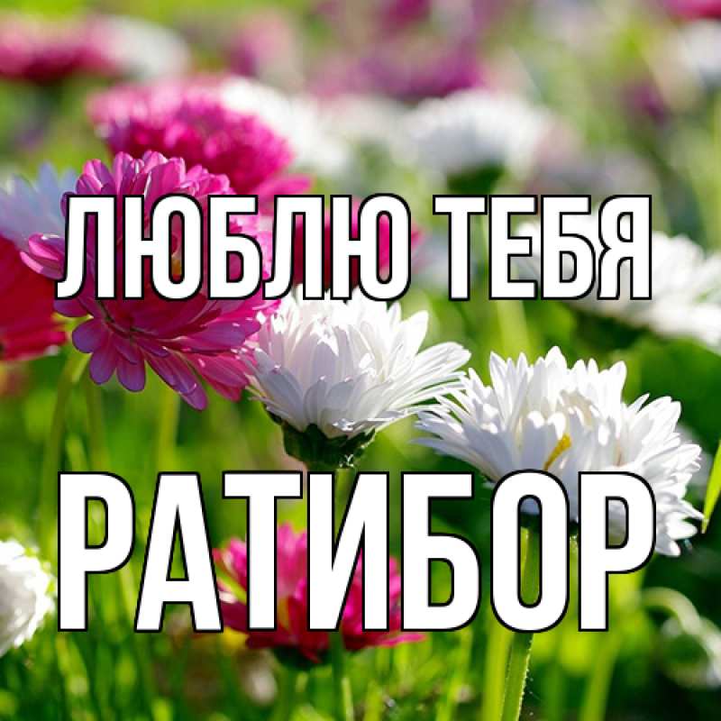 Картинка Люблю тебя, Ратибор