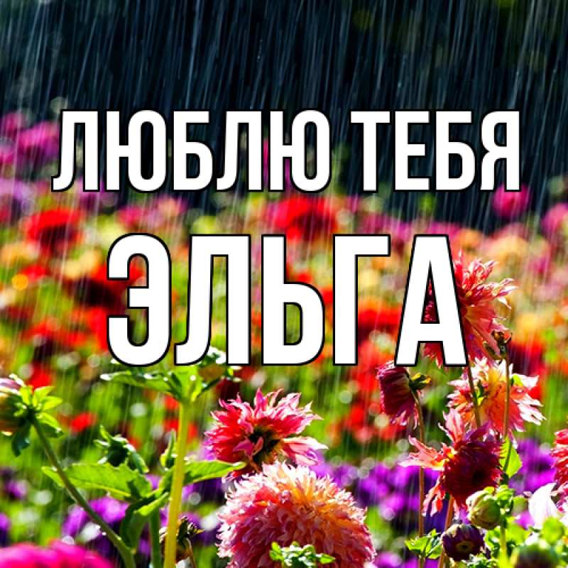 Картинка Люблю тебя, Эльга