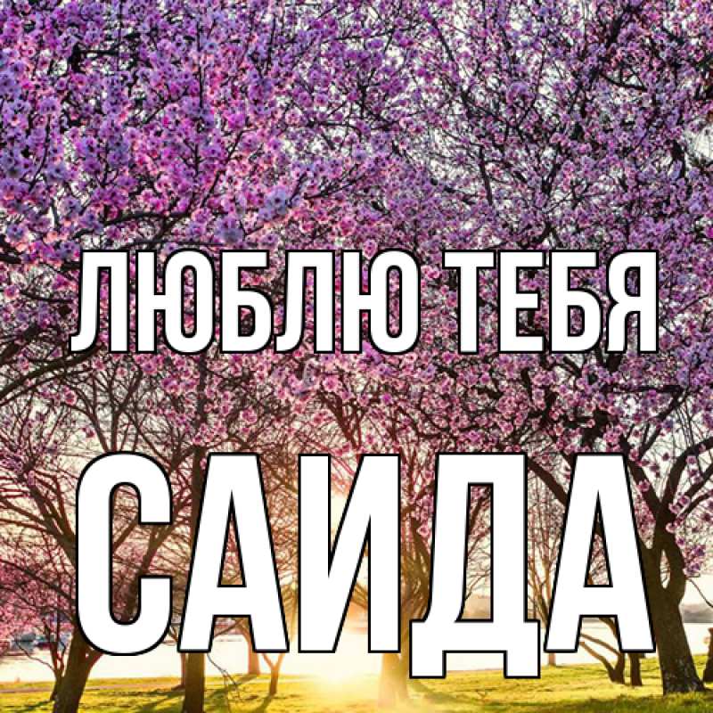 Картинка Люблю тебя, Саида