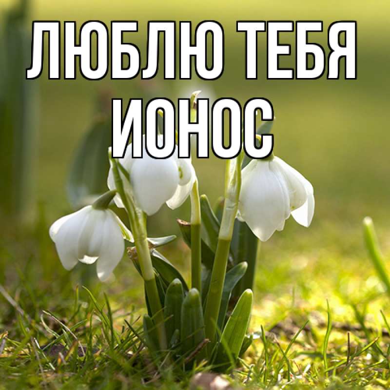 Картинка Люблю тебя, Ионос