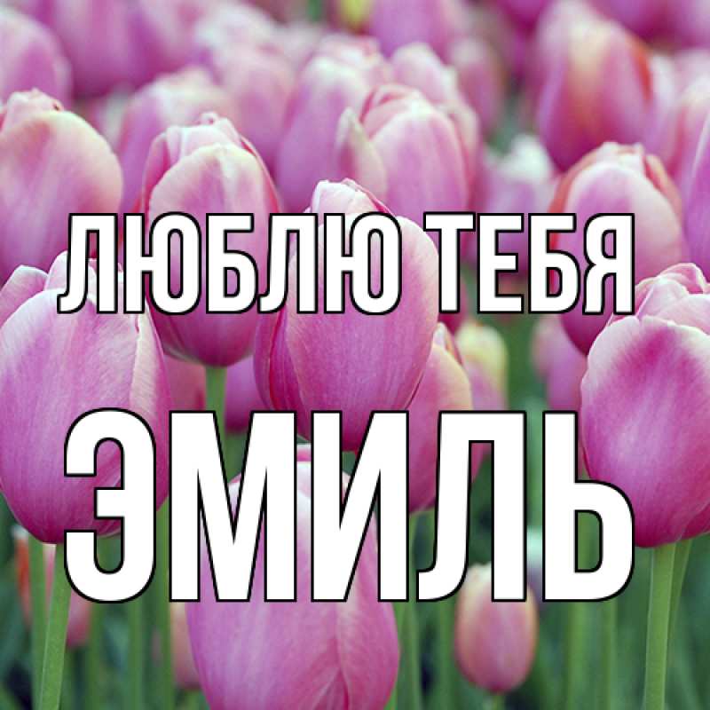 Картинка Люблю тебя, Эмиль