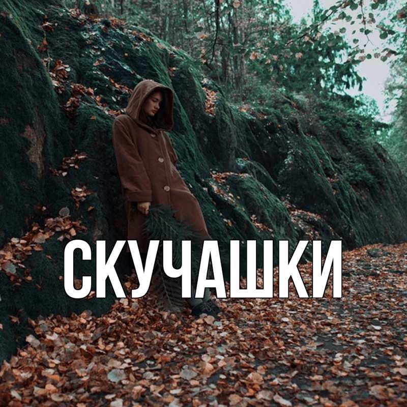 Картинка Скучашки, 