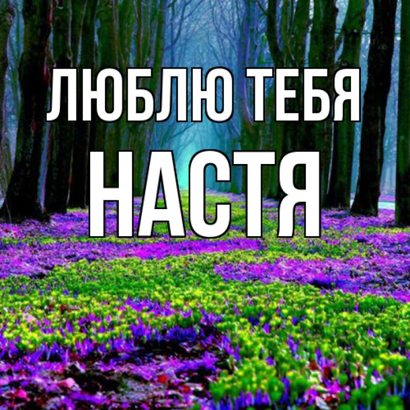 Картинка Люблю тебя, Настя