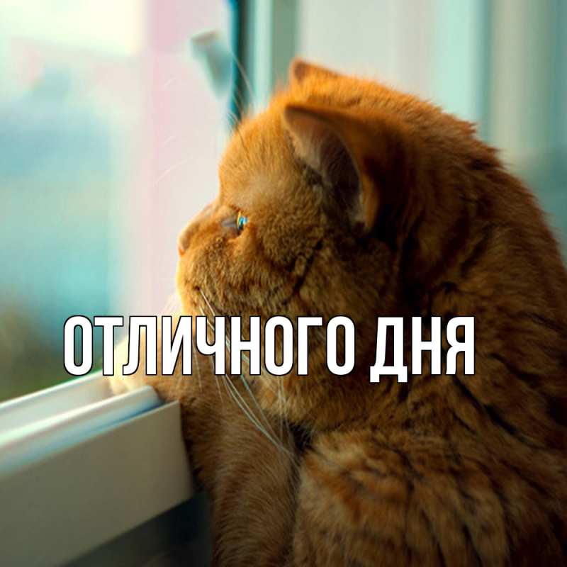 Картинка Обнимашки, Ева