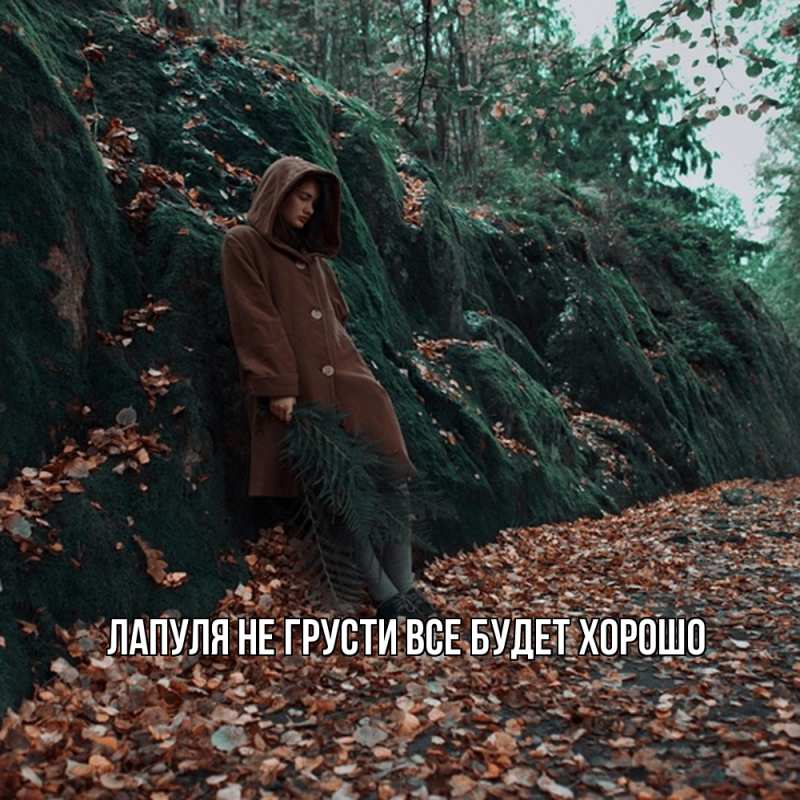 Картинка Не грусти, все будет хорошо, Лапуля