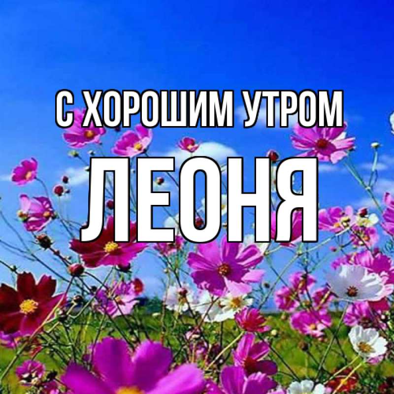 Картинка С хорошим утром, Леоня