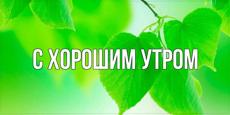 Картинка С хорошим утром, 