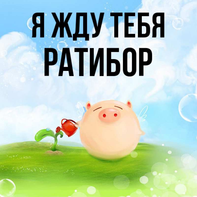 Картинка Я жду тебя, Ратибор