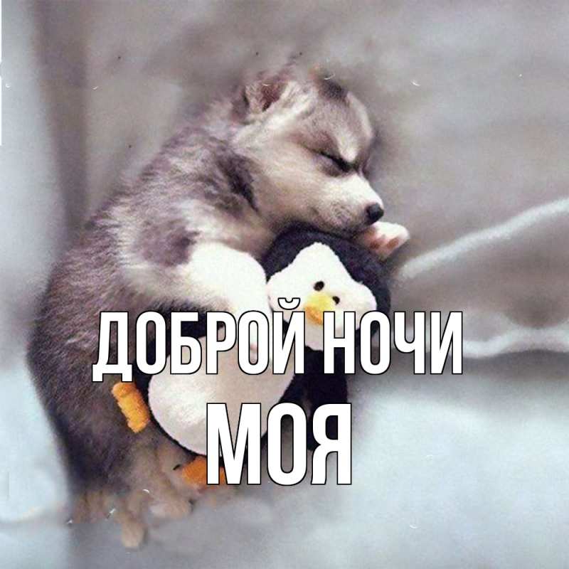Картинка Доброй ночи, Моя