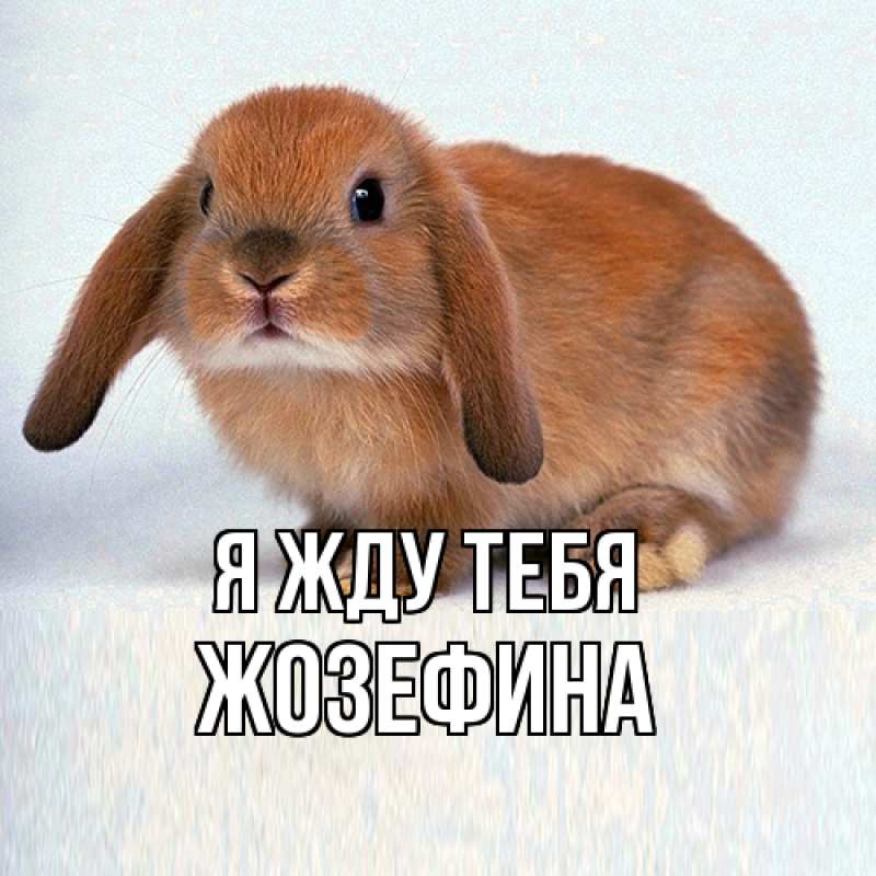 Открытка с именем, Жозефина, Я жду тебя