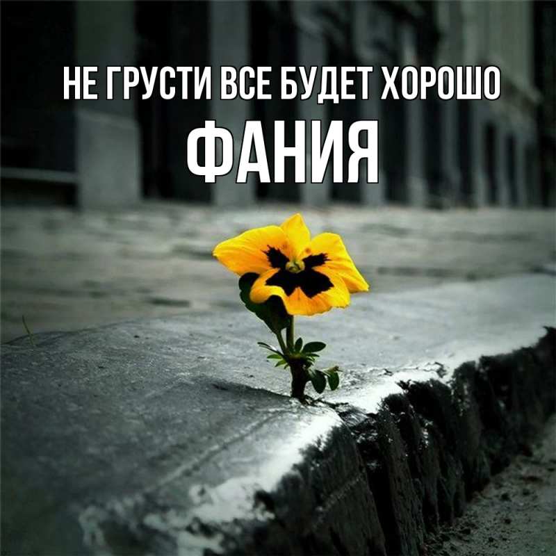 Картинка Не грусти, все будет хорошо, Фания
