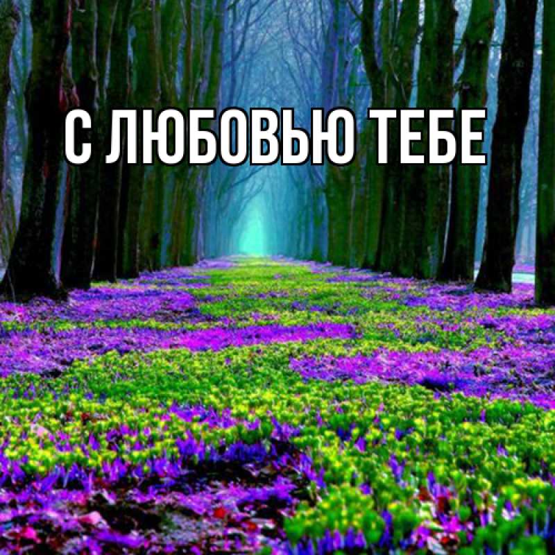 Картинка Люблю тебя, Ева