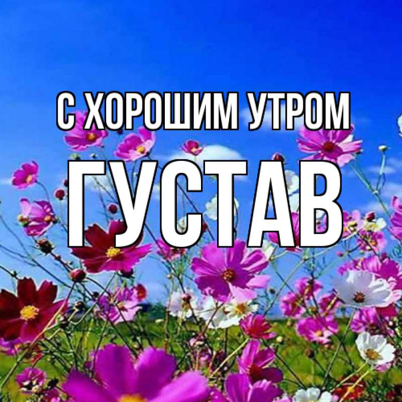 Картинка С хорошим утром, Густав
