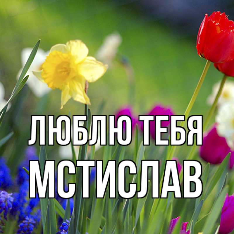 Картинка Люблю тебя, Мстислав