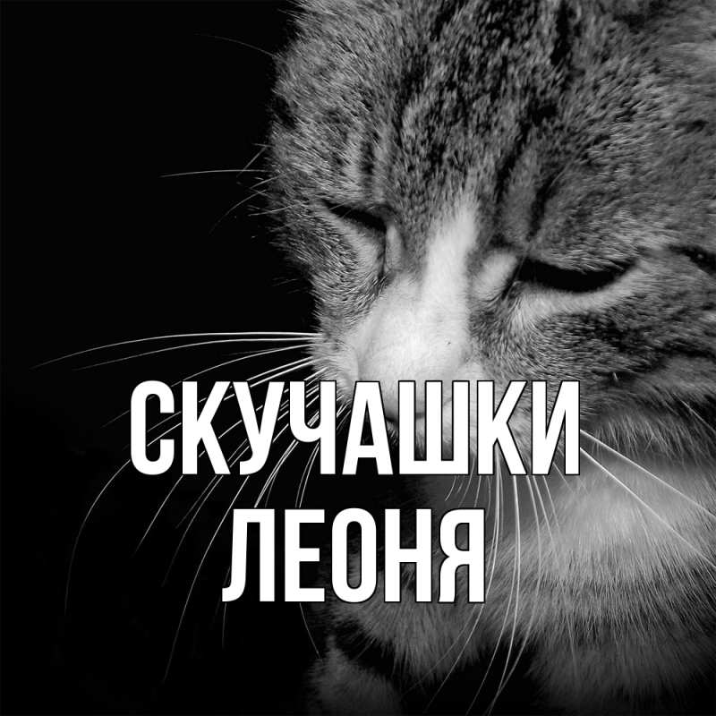 Картинка Скучашки, Леоня