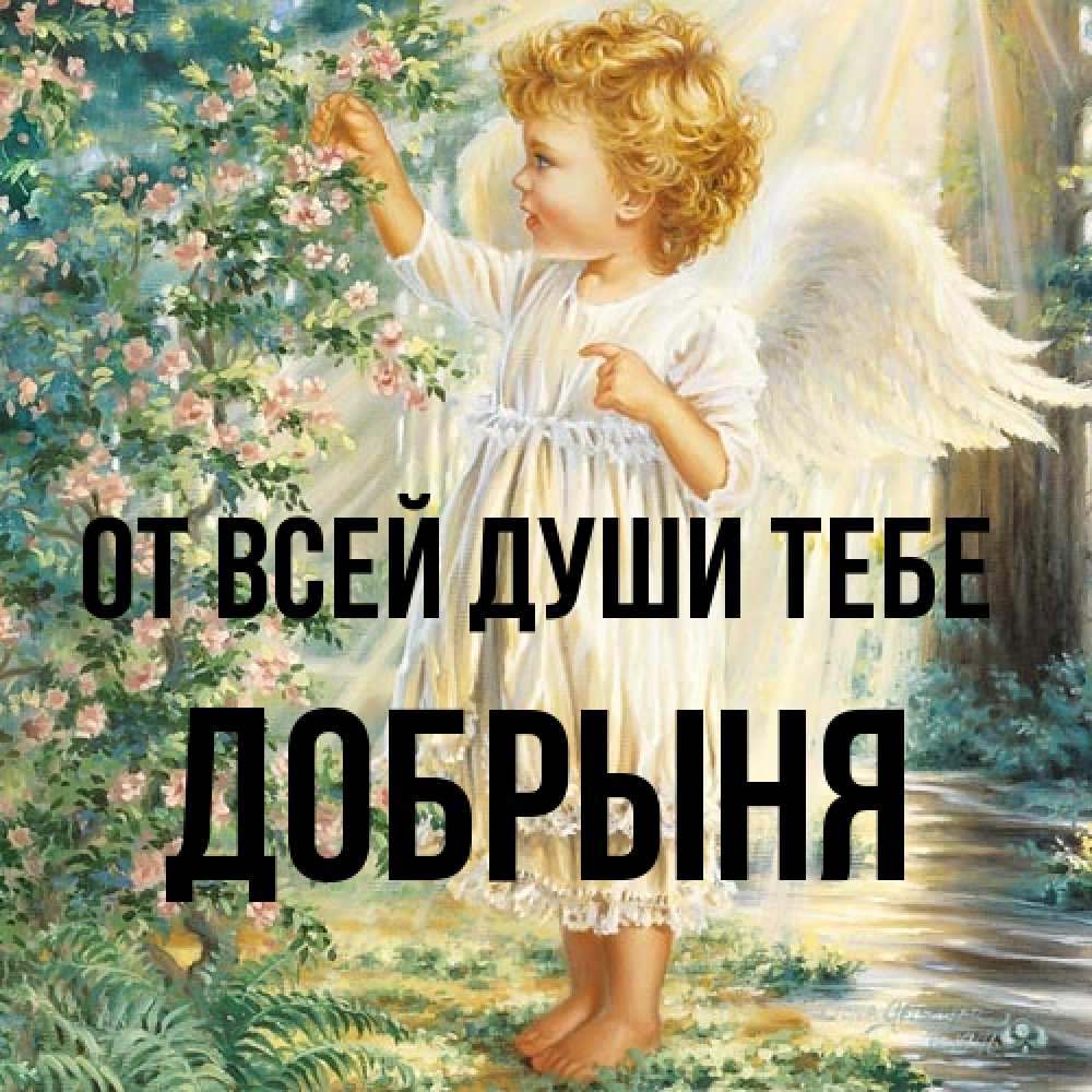 Открытка на каждый день с именем, Добрыня От всей души тебе собирает цветы Прикольная открытка с пожеланием онлайн скачать бесплатно 