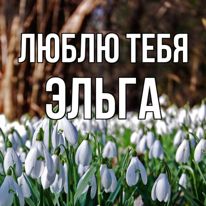 Картинка Люблю тебя, Эльга