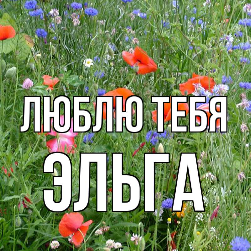 Картинка Люблю тебя, Эльга