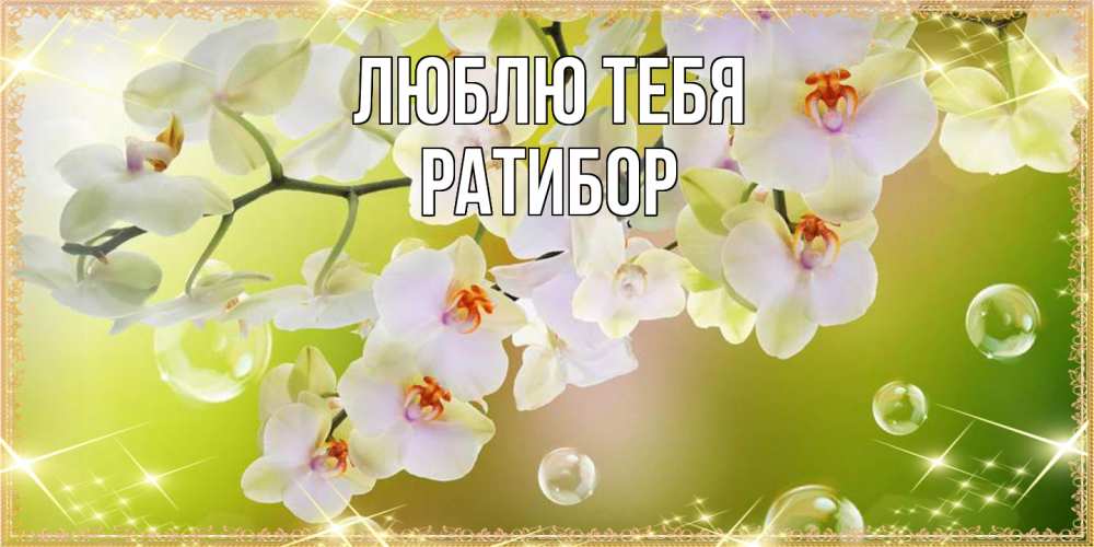 Открытка на каждый день с именем, Ратибор Люблю тебя открытка с цветами на международный женский день Прикольная открытка с пожеланием онлайн скачать бесплатно 