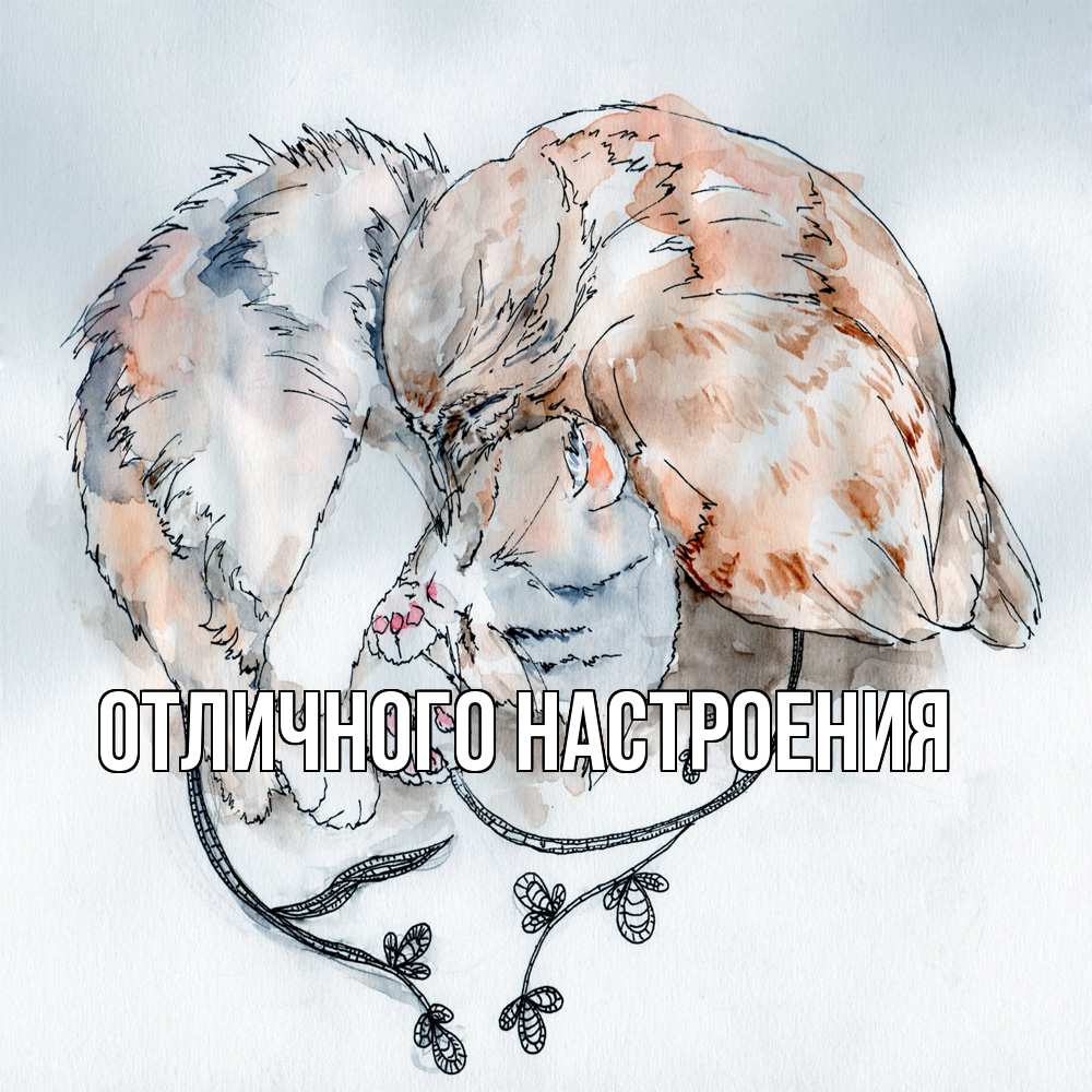 Открытка на каждый день с именем, Констанция Обнимашки можно быть вместе даже когда очень разные Прикольная открытка с пожеланием онлайн скачать бесплатно 