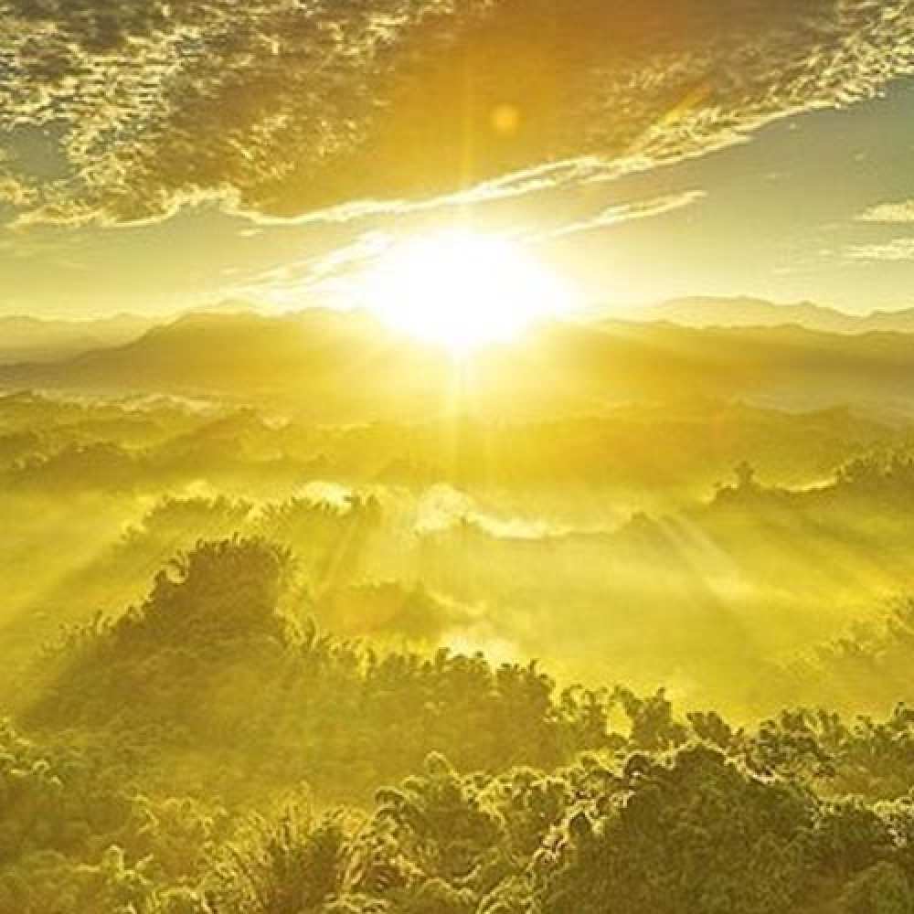 Открытка на каждый день с именем, Тимур От всей души тебе леса и небо в желтом Прикольная открытка с пожеланием онлайн скачать бесплатно 