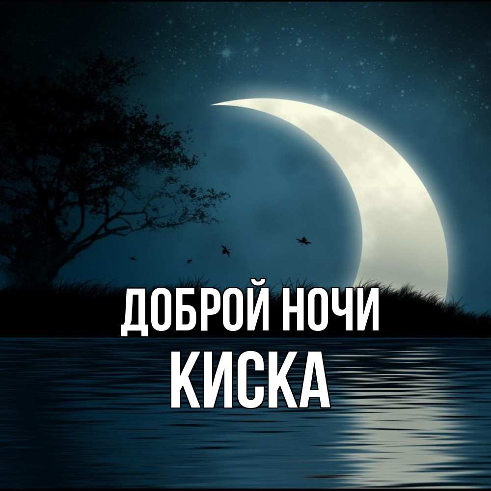 Открытка на каждый день с именем, Киска Доброй ночи вода Прикольная открытка с пожеланием онлайн скачать бесплатно 