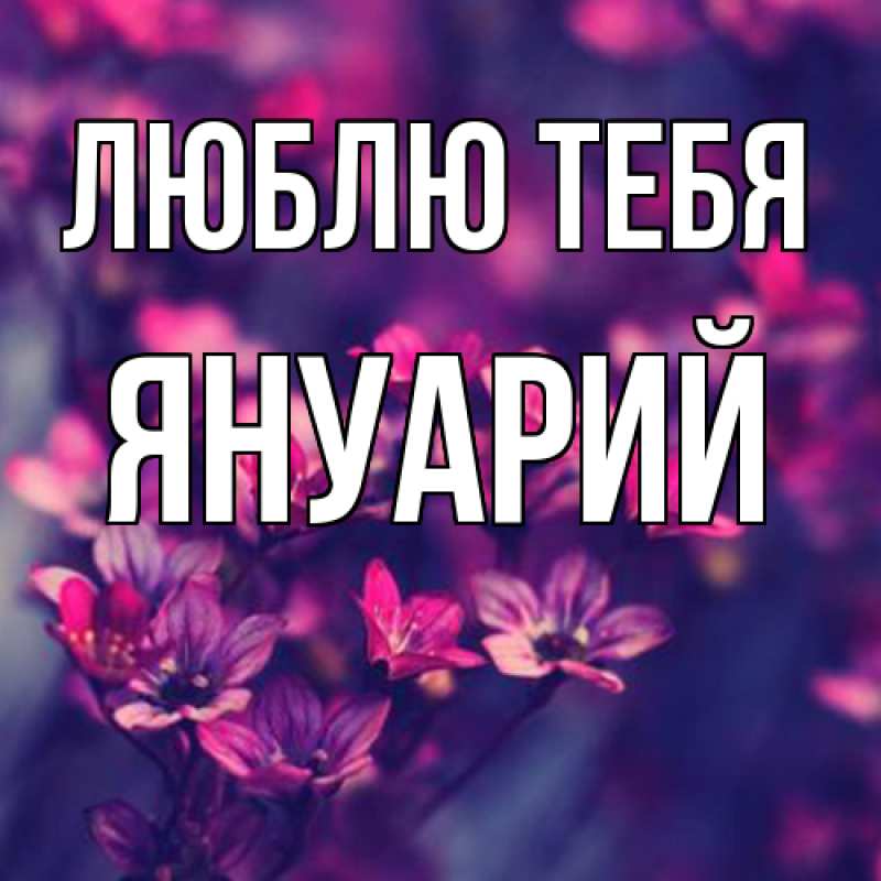 Картинка Люблю тебя, Януарий