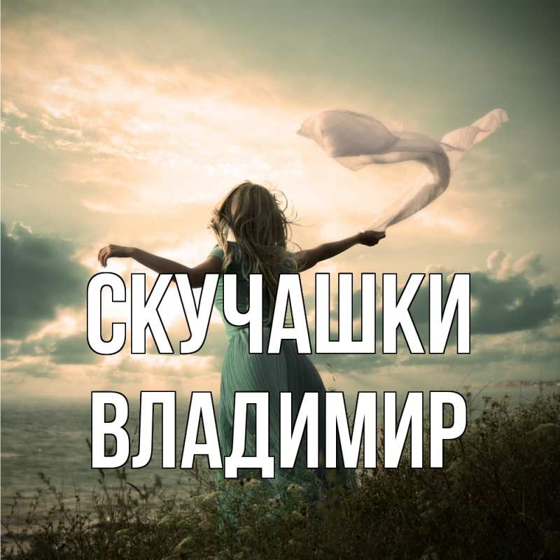Открытка с именем, Владимир, Скучашки