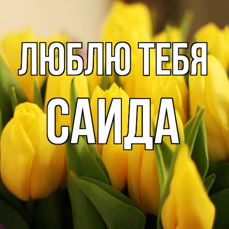 Картинка Люблю тебя, Саида