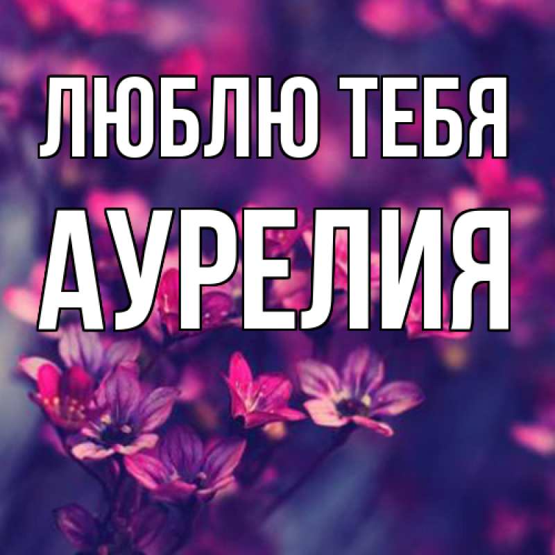 Картинка Люблю тебя, Аурелия