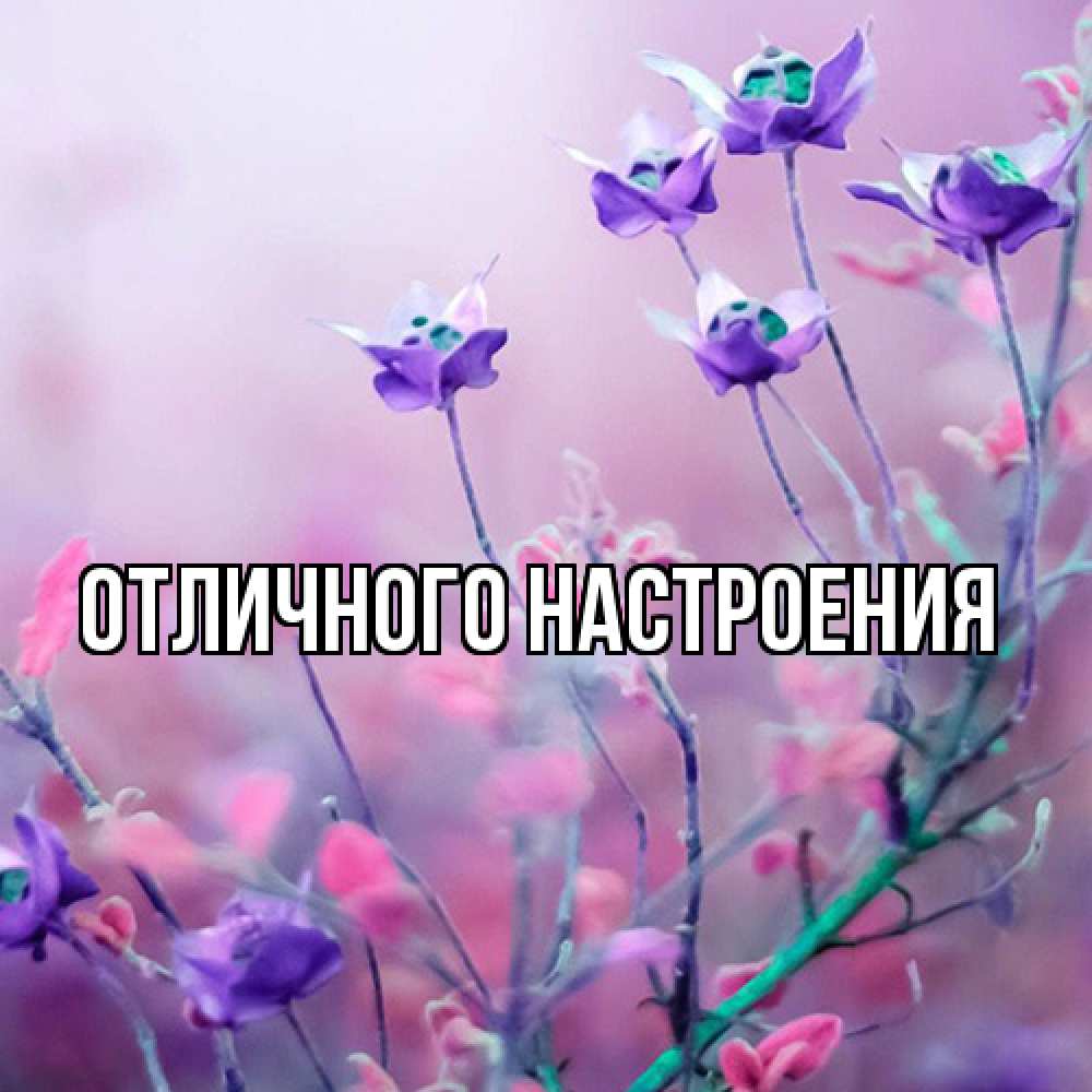 Открытка на каждый день с именем, Радосвета Люблю тебя международный женский день 2 Прикольная открытка с пожеланием онлайн скачать бесплатно 