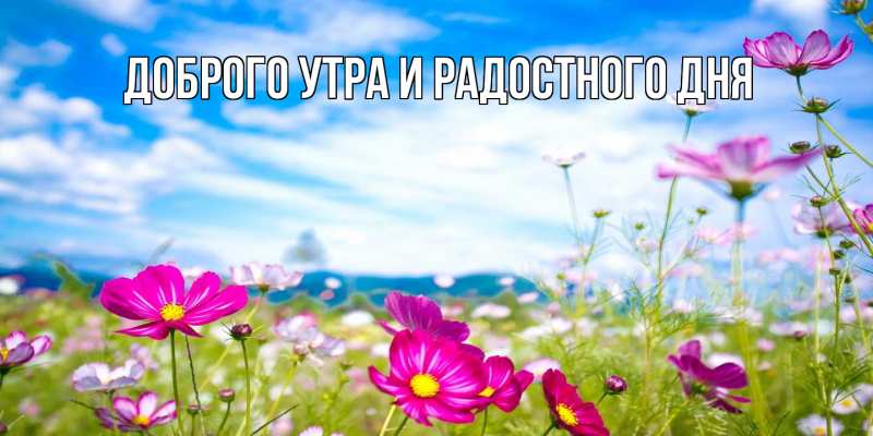 Открытка с именем, Серафима, Отличного настроения