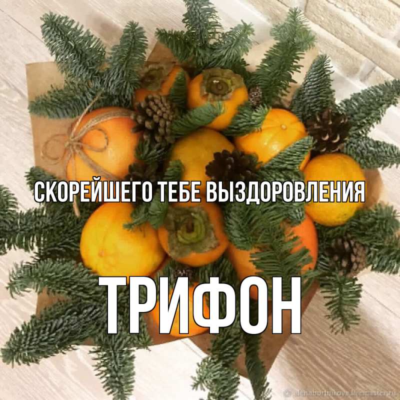 Картинка Скорейшего тебе выздоровления, Трифон