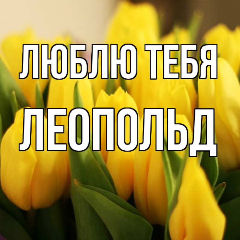 Картинка Люблю тебя, Леопольд