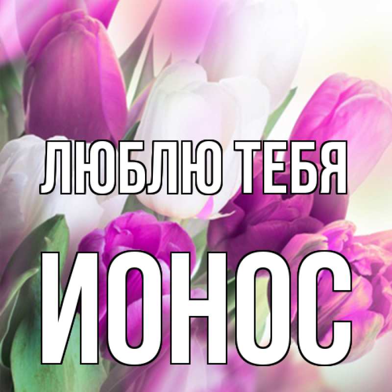 Картинка Люблю тебя, Ионос