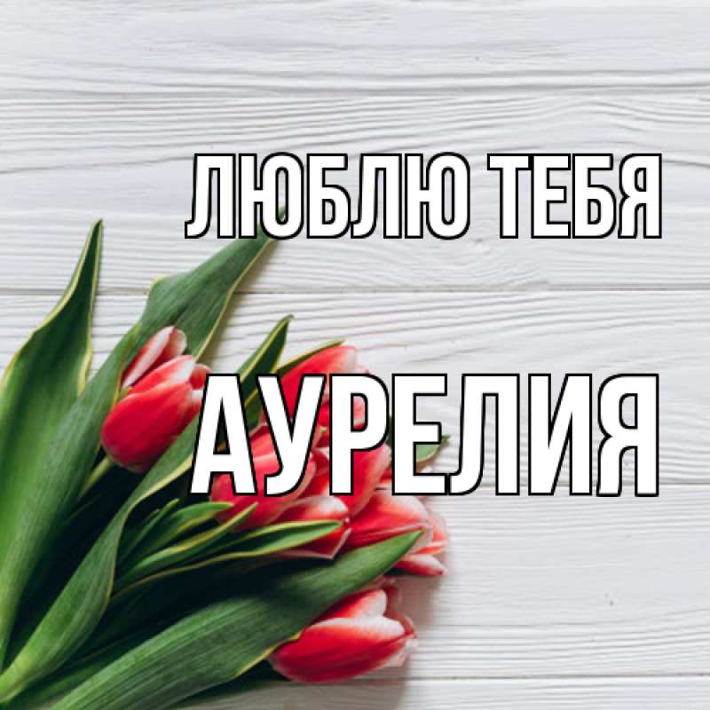 Картинка Люблю тебя, Аурелия