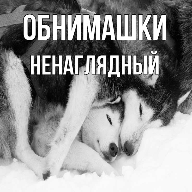 Картинка Обнимашки, Ненаглядный