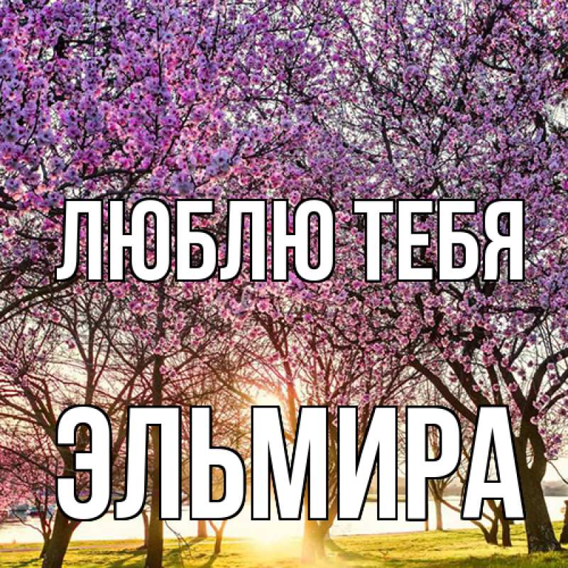Открытка с именем, Эльмира, Люблю тебя
