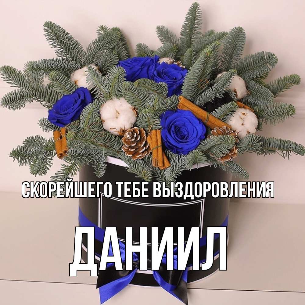 Открытка на каждый день с именем, Даниил Скорейшего тебе выздоровления короче кто то загрузил эти шишки Прикольная открытка с пожеланием онлайн скачать бесплатно 