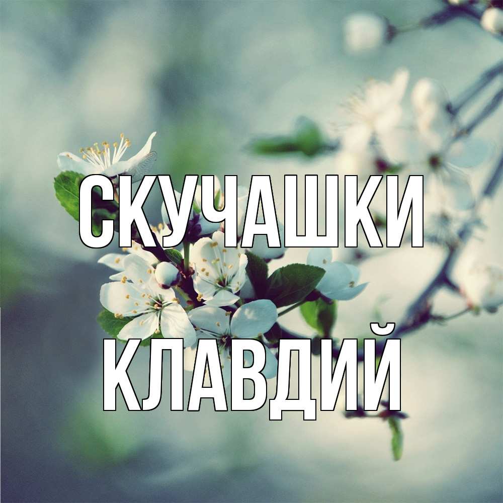 Открытка на каждый день с именем, Клавдий Скучашки весна Прикольная открытка с пожеланием онлайн скачать бесплатно 