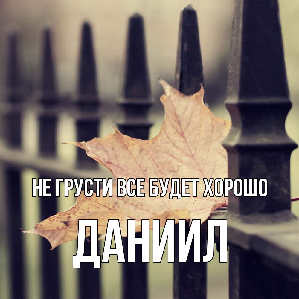 Открытка на каждый день с именем, Даниил Не грусти все будет хорошо лист клена Прикольная открытка с пожеланием онлайн скачать бесплатно 