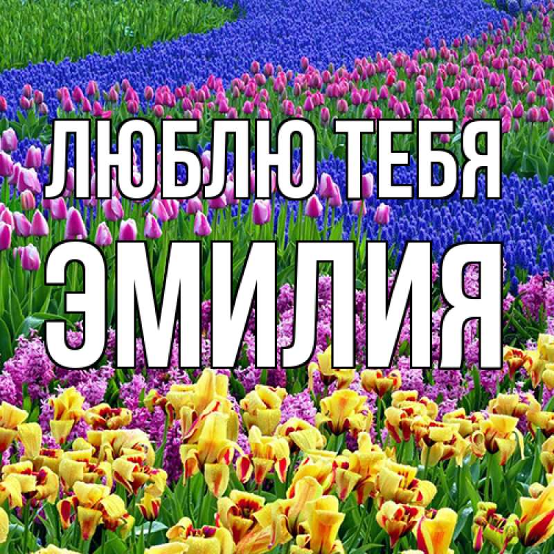 Открытка с именем, Эмилия, Люблю тебя